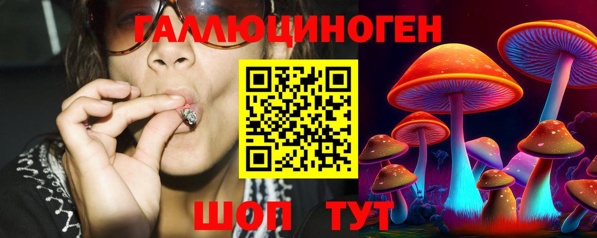 Железногорск  Галлюциногенные грибы Cubensis  Псилоцибиновые грибы GOLDEN TEACHER  Вход с VPN 